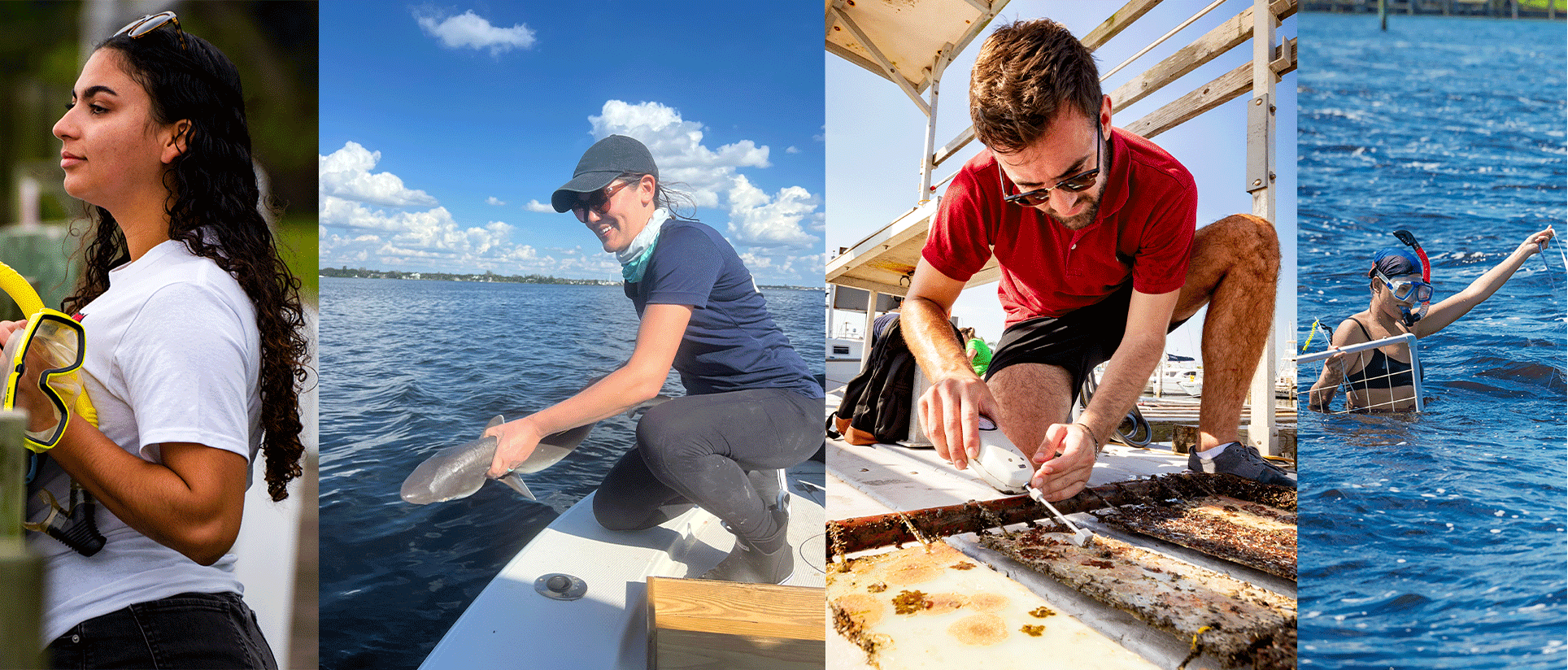 students in marine biology