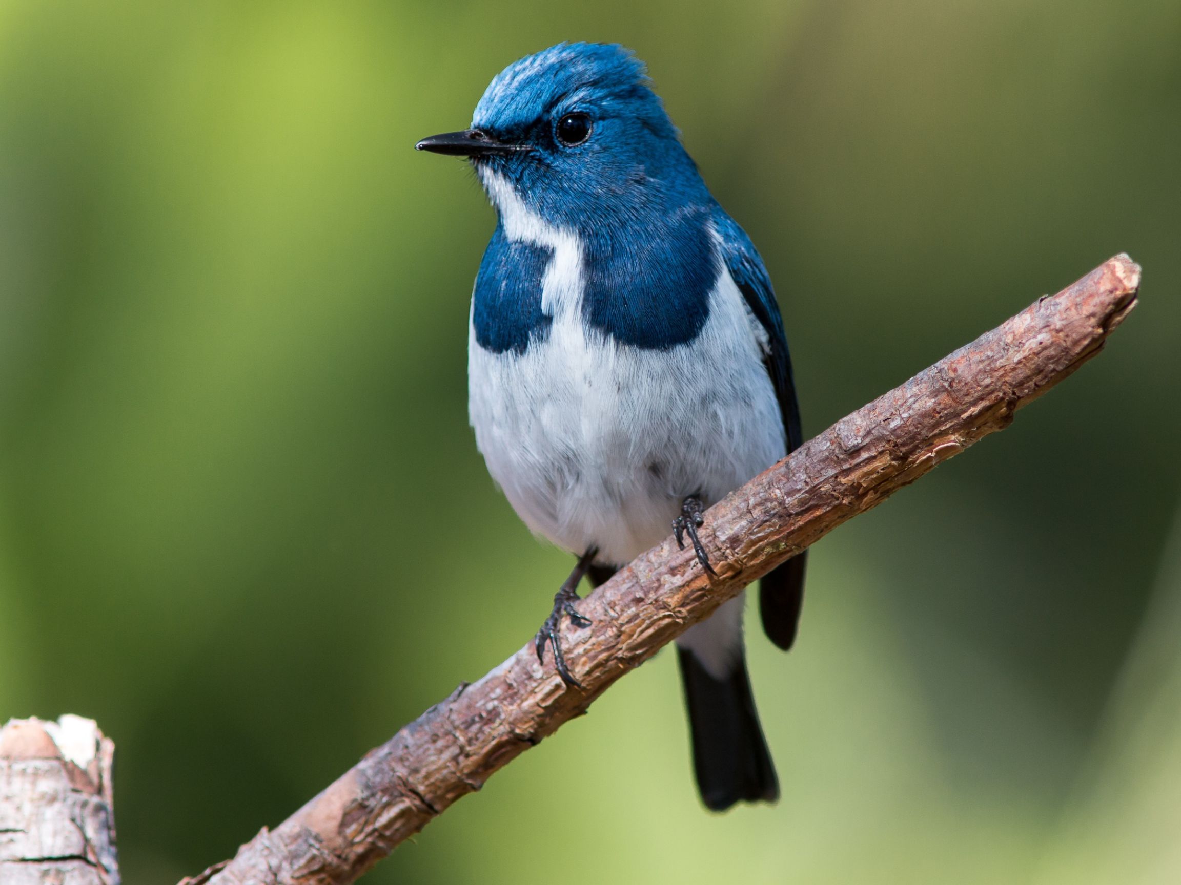 Minutes | Florida Tech